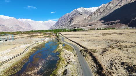 aerial drone shot of camels walking across the desert section of nubra valley, with mountains in the background.