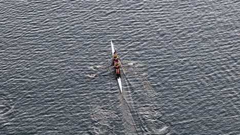 drone captures athletes rowing in sync on calm waters, showcasing teamwork and precision under natural light