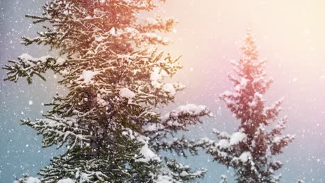 schneefall und tannenbäume
