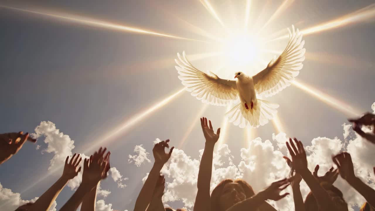A low-angle shot captures a dove soaring towards a radiant sun, symbolizing hope and freedom