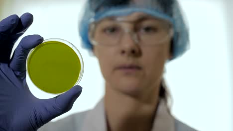 científica mujer toma una placa de petri en el laboratorio. pantalla verde de placa de petri. retrato de una profesional de la salud confiada en su entorno de trabajo.
