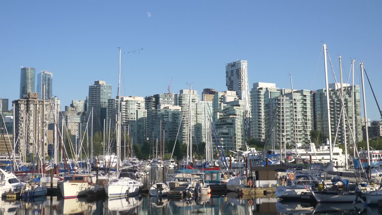 Sailboats and Yachts Moored at the Pier of the Vancouver Marina PAN