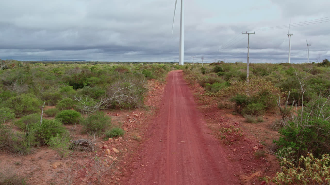 뒤에 있는 큰 풍력 터빈 타워를 드러내는 붉은 흙길에서 황소의 공중 여행