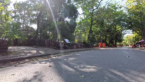 monks in orange robes walking through a zoo