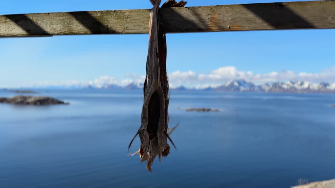 un par de secas colgando en el viento para secarse en las islas lofoten en henningsvaer