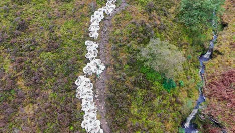 Sack-of-rocks,-rubble-lining-a-pathway-on-the-pennine-way-trail-in-the-UK