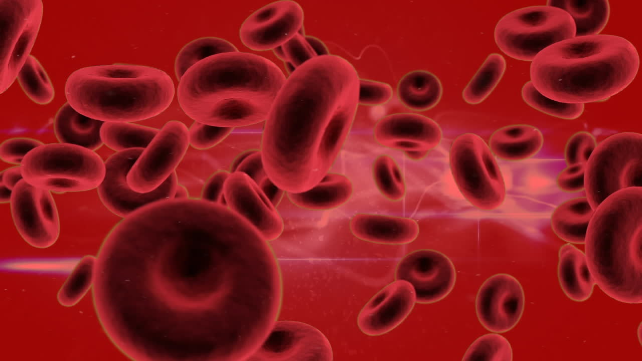 animación de los glóbulos rojos sobre un fondo rojo