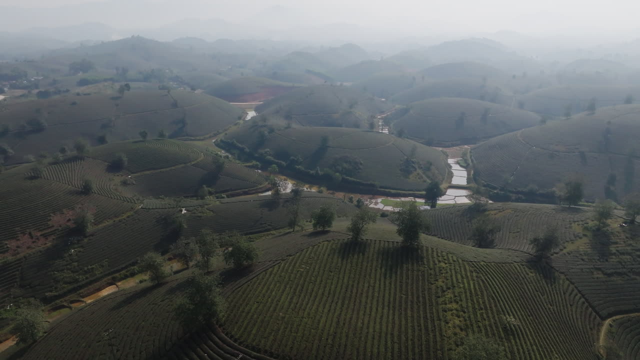 Ampia vista aerea con drone di terrazzamenti di tè con colline stratificate e foschia in lontananza, regione del tè di Long Coc, Phu Tho, Vietnam.
