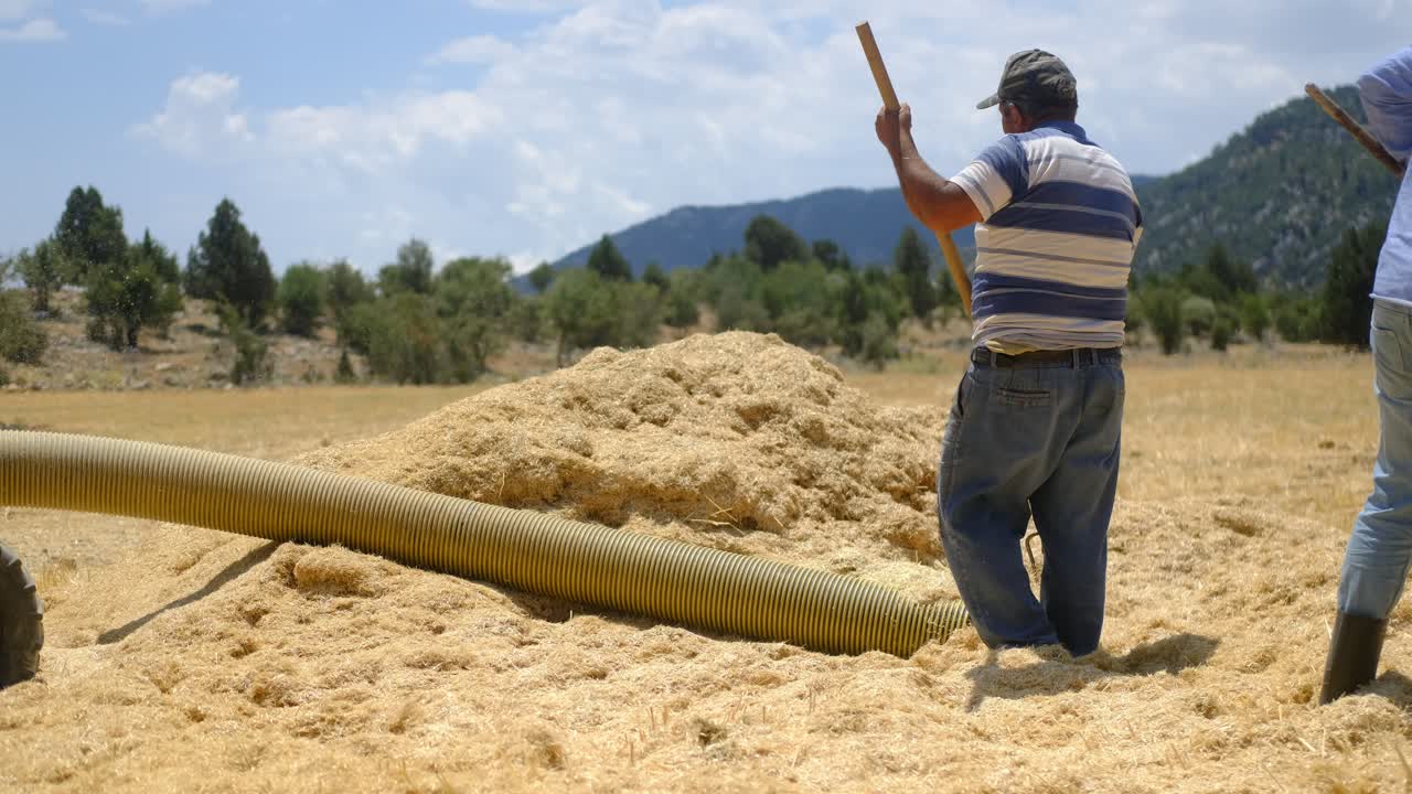 joven agricultor trabajando en el campo