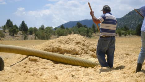 young-farmer-working-field