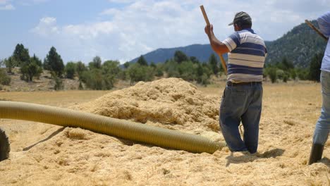 joven agricultor trabajando en el campo