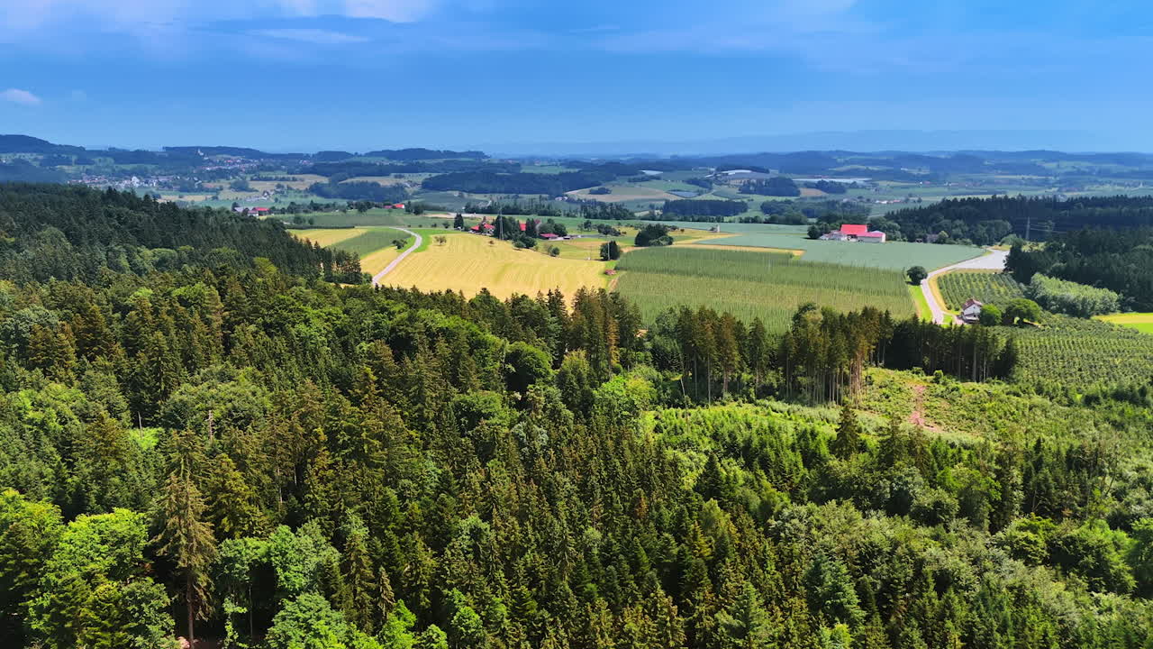 Flight over the thick forest approaching agricultural fields. View on the picturesque countryside on a lovely summer day
