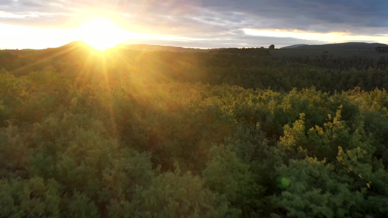 Beautiful sunrise over wild forest in Italy. nature Aerial view. sunrise rays shining through branches in autumn mountains