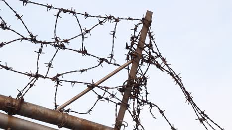 pan left, messy tangled barbed wire on top of a gate