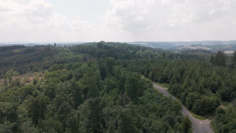 Vuelo-De-Drones-En-Ascenso-Sobre-Una-Carretera-Asfaltada-Con-Una-Motocicleta-Montando-Y-Pasando-Por-Un-Enorme-Bosque-De-Pinos-En-Una-Región-Montañosa