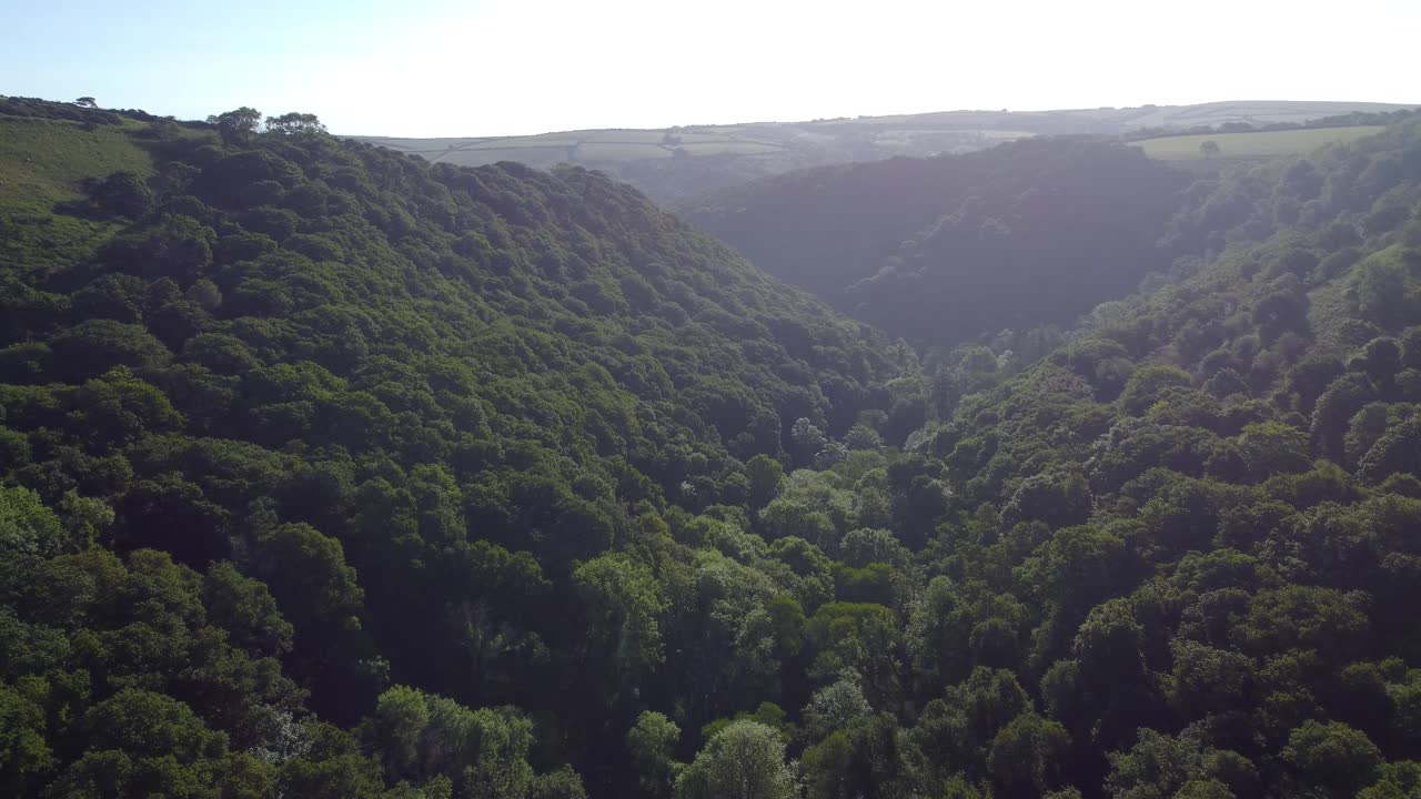 Deep Dense Forest in Valley with Surrounding Fields and Early Morning Sunrise Haze. Fast Moving Pushing Aerial Nature Drone Footage. Filmed in England, UK.