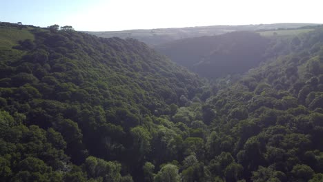 deep dense forest in valley with surrounding fields and early morning sunrise haze. fast moving pushing aerial nature drone footage. filmed in england, uk.