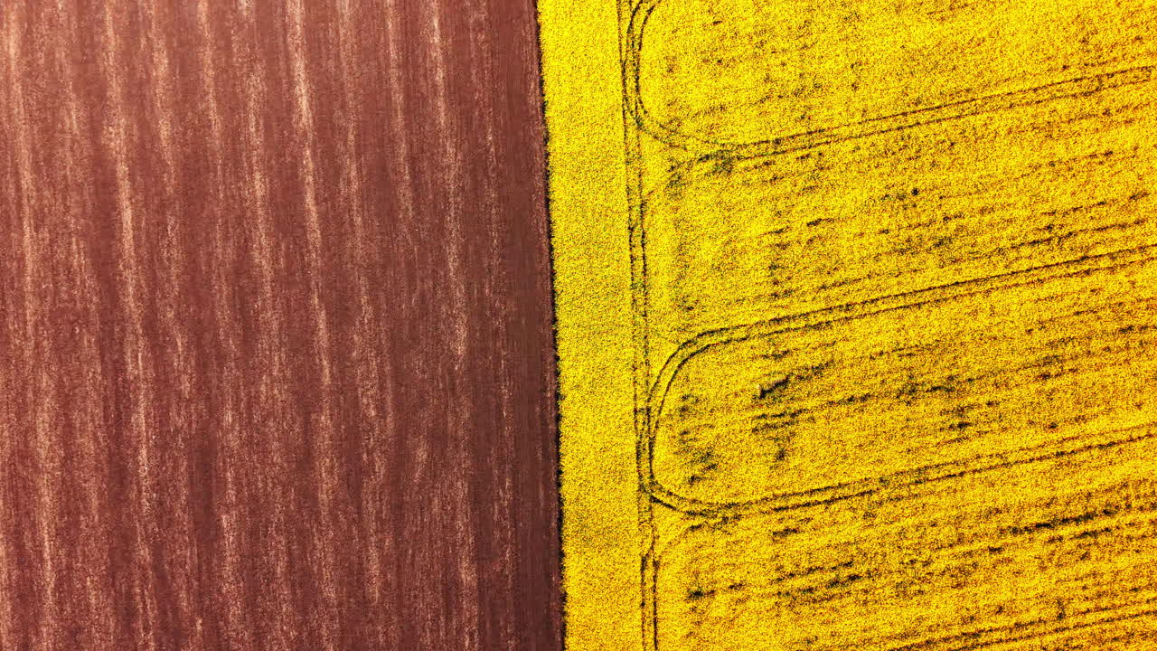 Skarp grense mellom en pløyd brun jordåker og en blomstrende gul rapsåker. Abstrakt luftbilde som deler brunt jordsmonn og gule blomster.