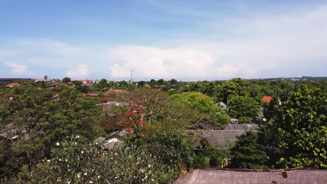 drone rises up to reveal an overrun and abandoned resort in bali