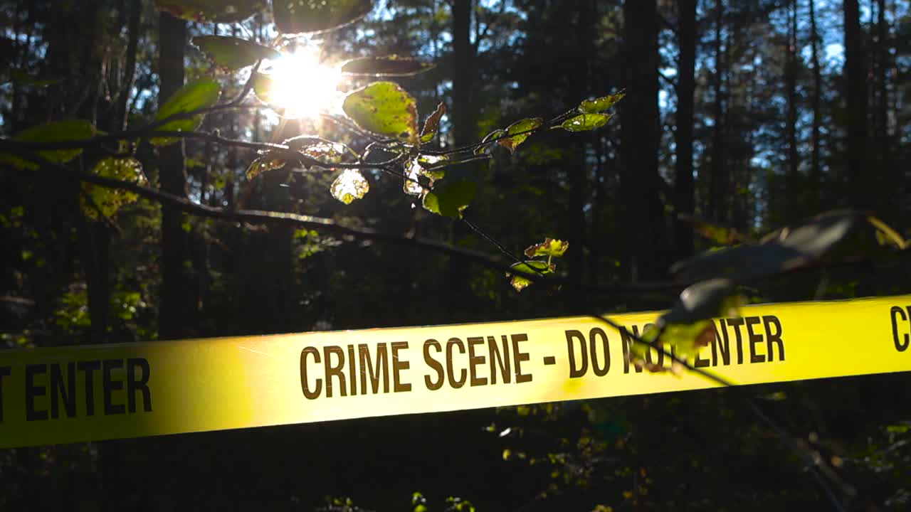 Descending view reveals tree branch in the foreground with yellow crime scene tape stretched behind it across a shaded wooded area. Police ribbon backlit by sunlight through the dense forest canopy