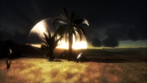 puesta de sol en las dunas de arena