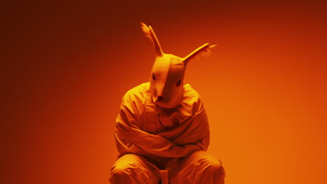 person in bunny mask and straightjacket