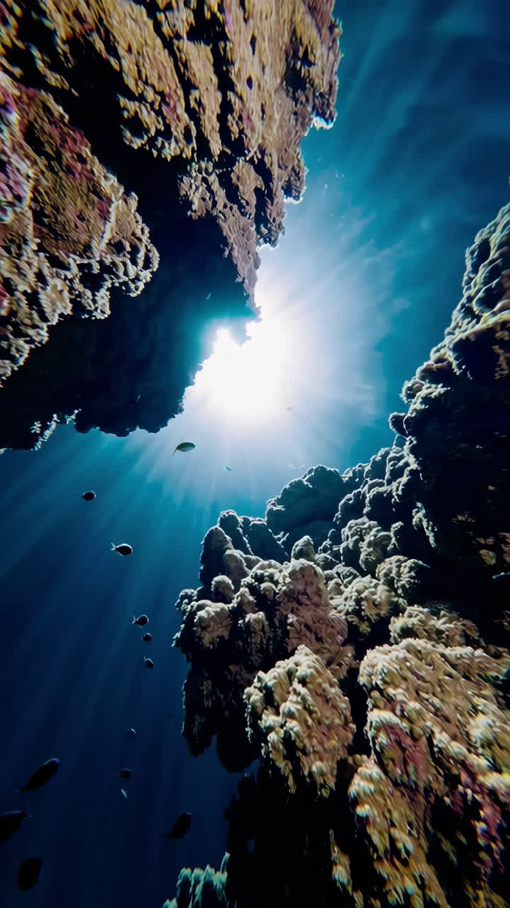 Sunlight Piercing Through Underwater Coral Reef