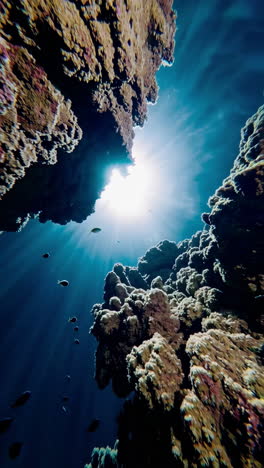 sunlight piercing through underwater coral reef
