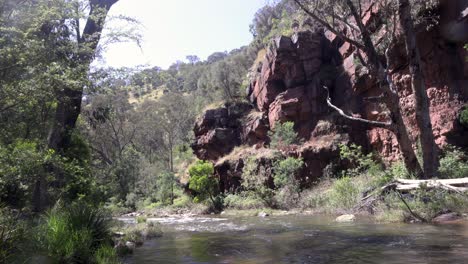 Un-Río-High-Country-Que-Fluye-A-Través-De-Un-Desfiladero-En-El-High-Country-De-Australia