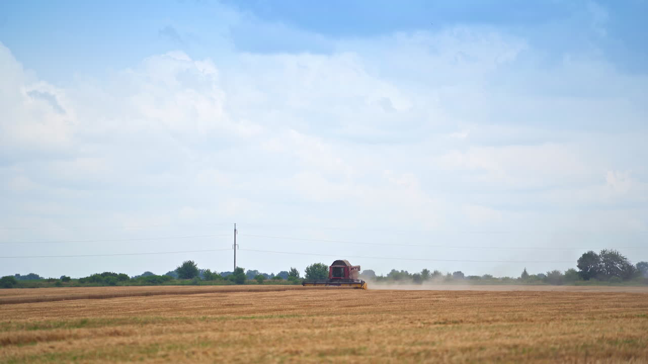 Wheat yellow harvesting field. Golden farming landscapes of cereals.