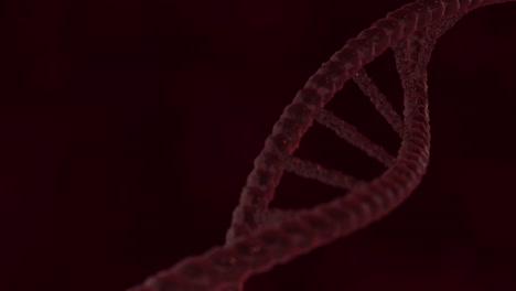 adn cinematográfico doble hélice acercándose a la cámara - animación en 3d