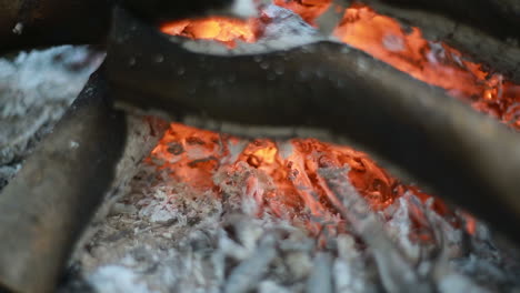 close up of wood burning in the bonfire. close up of a bonfire with orange flames and firewood