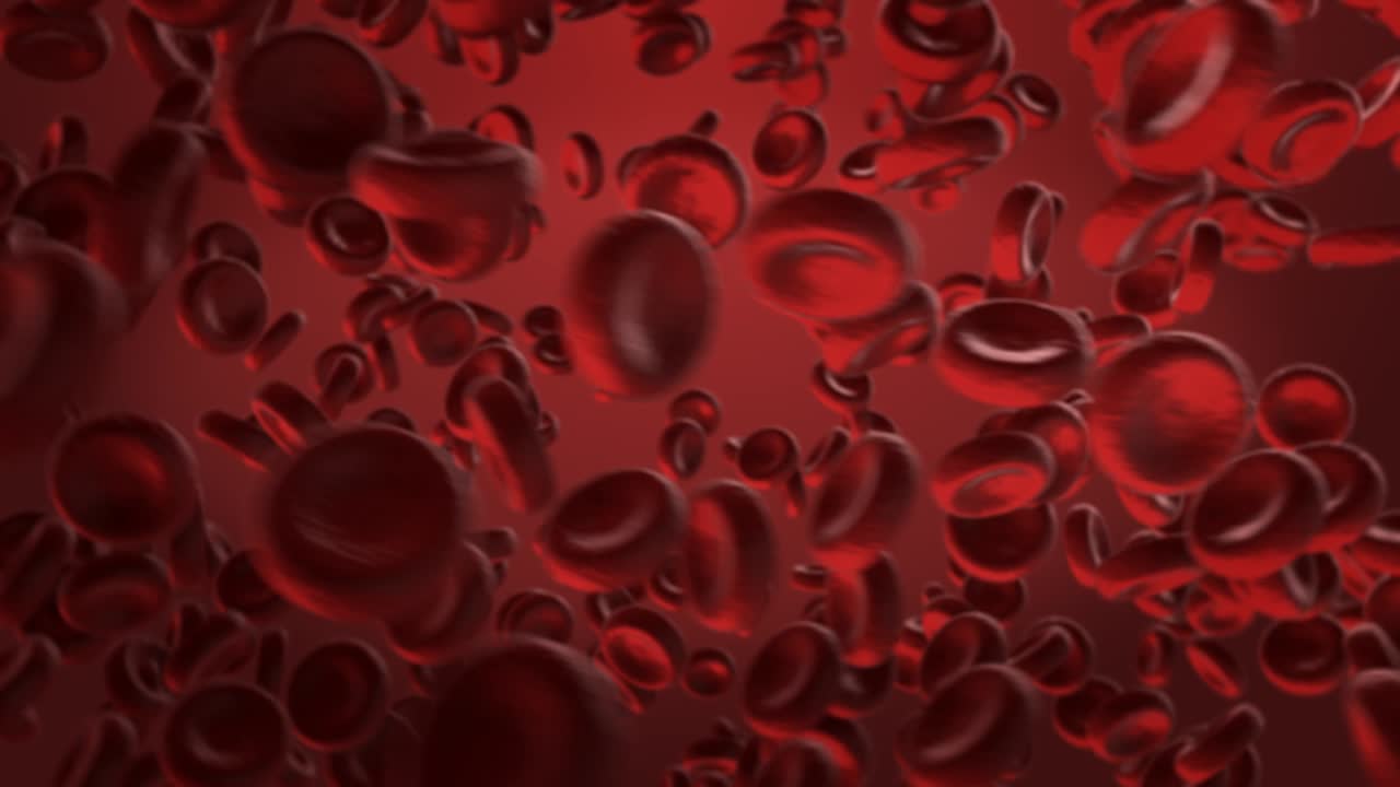 glóbulos rojos en la vena