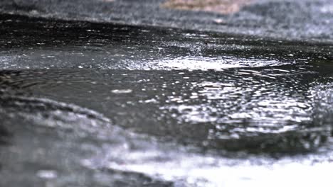 Charco-De-Lluvia-Brilla-En-El-Suelo,-Reflejando-El-Brillo-De-Las-Luces-De-La-Calle-Arriba