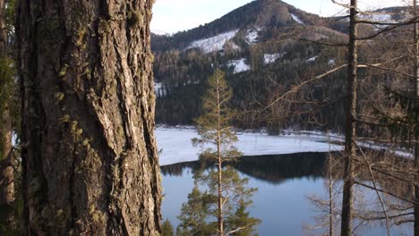 hermosa vista sobre un lago en austria en el bosque - erlaufsee mariazell