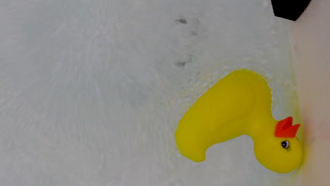 rubber-ducky-in-a-bath-tub