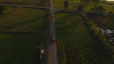motorcycle rider on a country road through rice fields