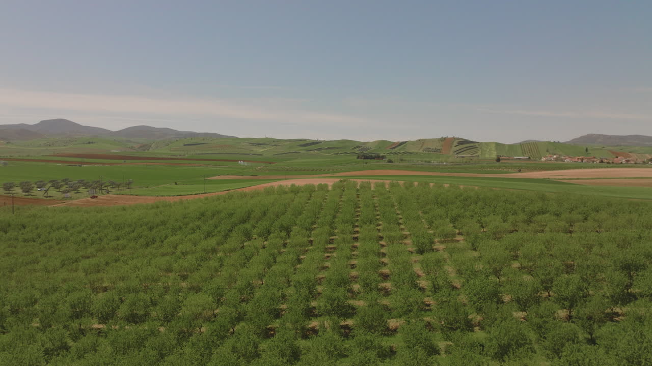 воздушный вид на фруктовый сад и сельский ландшафт