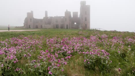 Lady-walker-approaches-Slains-Castle-from-the-South