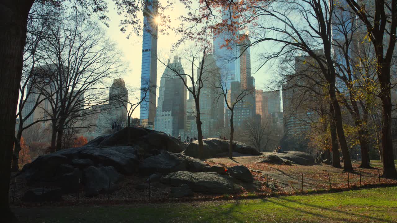 미국 뉴욕 센트럴 파크의 극적인 일출 장면