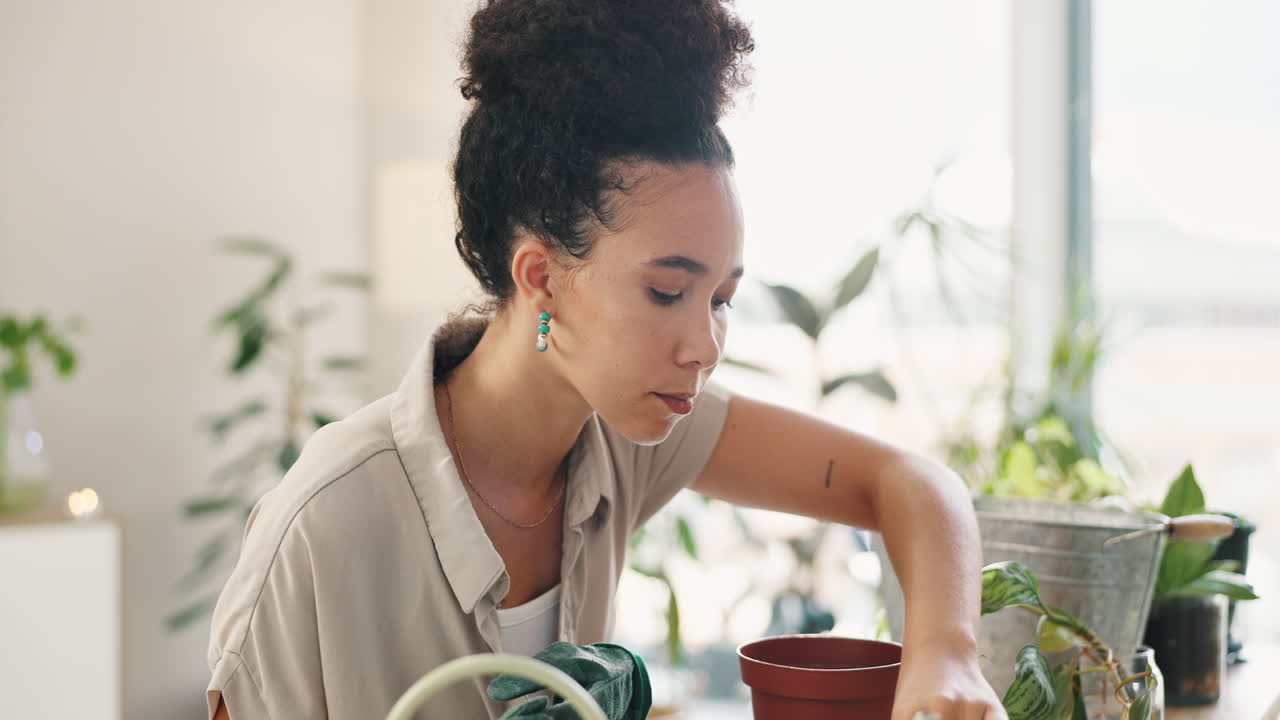 실내에서 정원 가꾸는 여자
