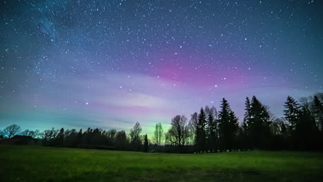 aurora boreal colorida en el cielo nocturno estrellado con siluetas de árboles en el bosque