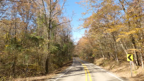 fall autumn road pov driving forward, colorful orange foliage trees, usa