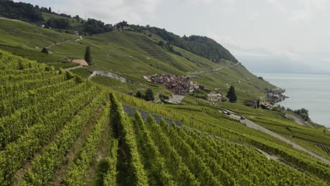 vuelo aéreo hacia little winetown en lavaux, suiza