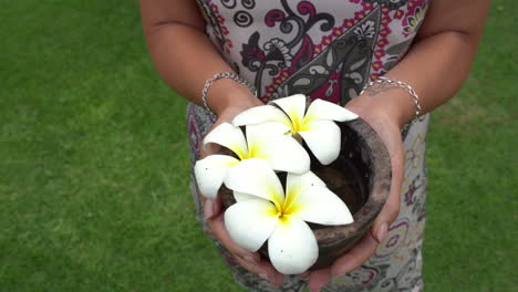 panning view of a woman that is standing on the grass and she's showing white hawaiian plumeria by her hands