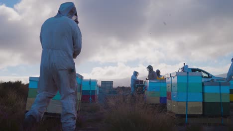 Apiary-in-rural-field-with-white-suited-beekeepers-around-bee-hive-boxes