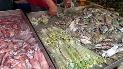 person arranging various seafood on ice