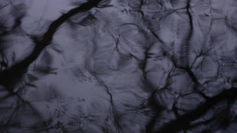 trees reflected in water, disturbed by ripples