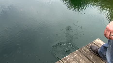 fisherman putting back fish into the water