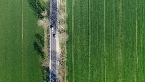 Top-view-road-filmed-from-above-with-shadow-from-the-trees-on-the-farmland